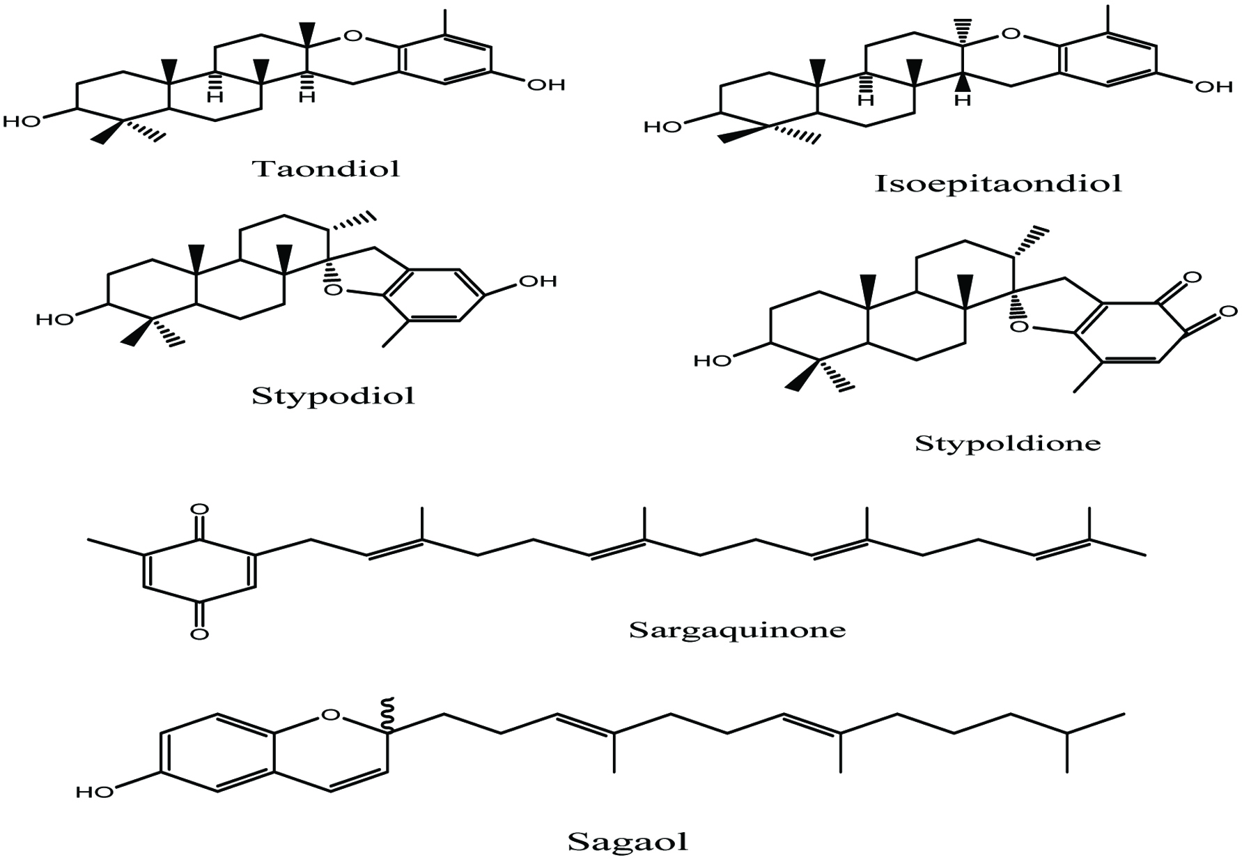 Figure 9. 