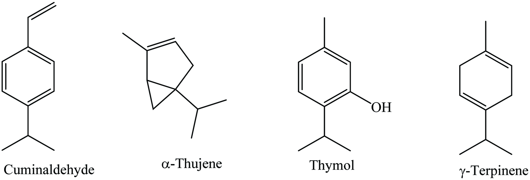 Figure 11. 