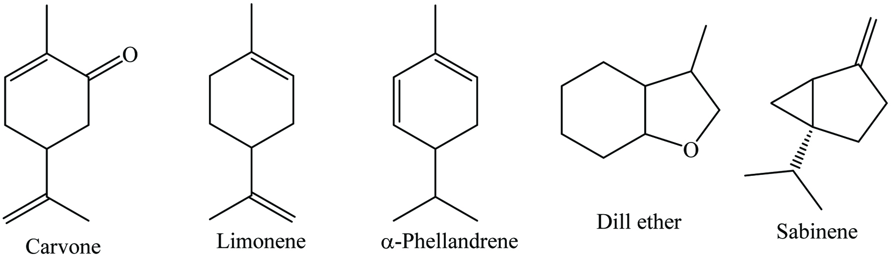 Figure 13. 