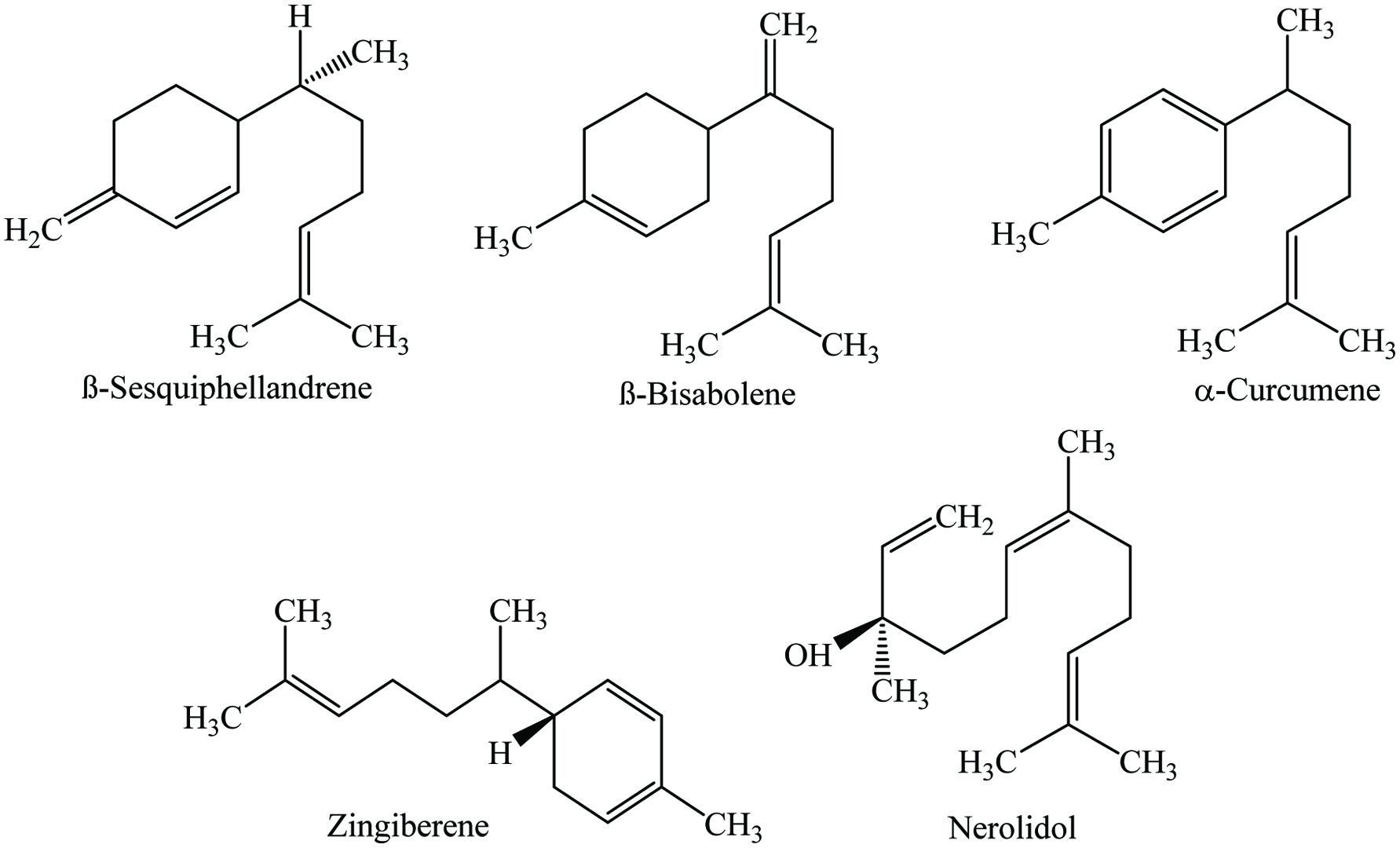 Figure 17. 