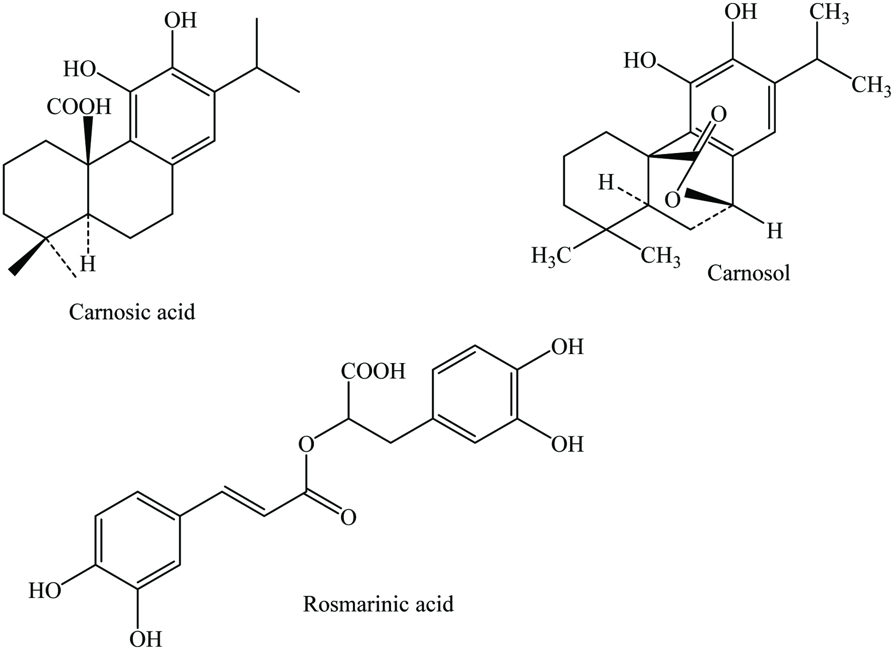 Figure 21. 