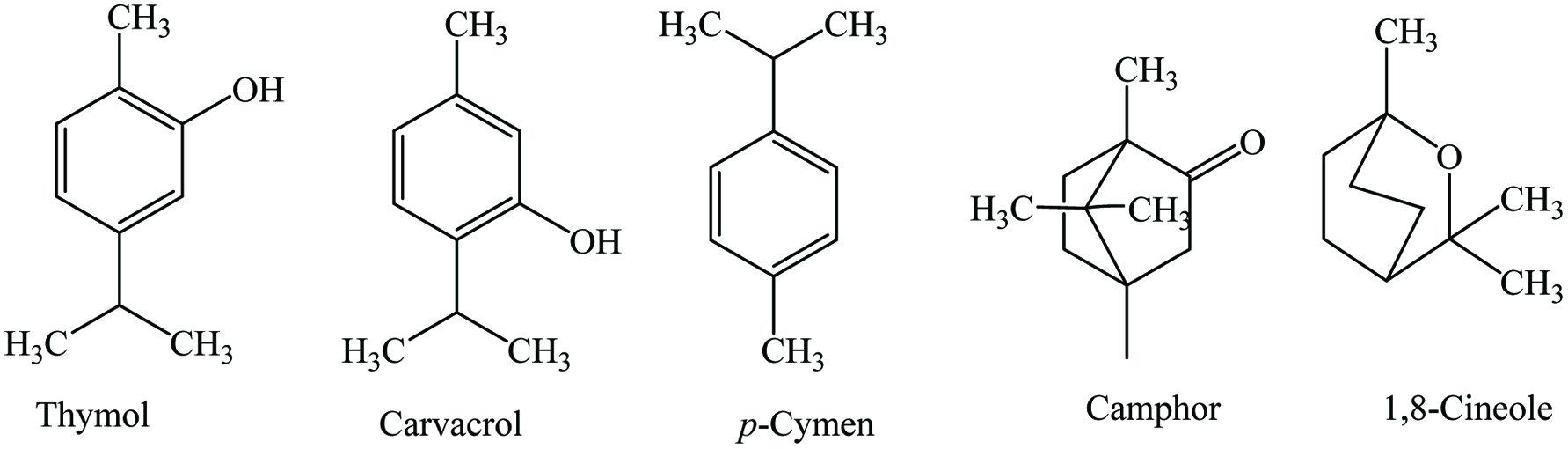 Figure 24. 