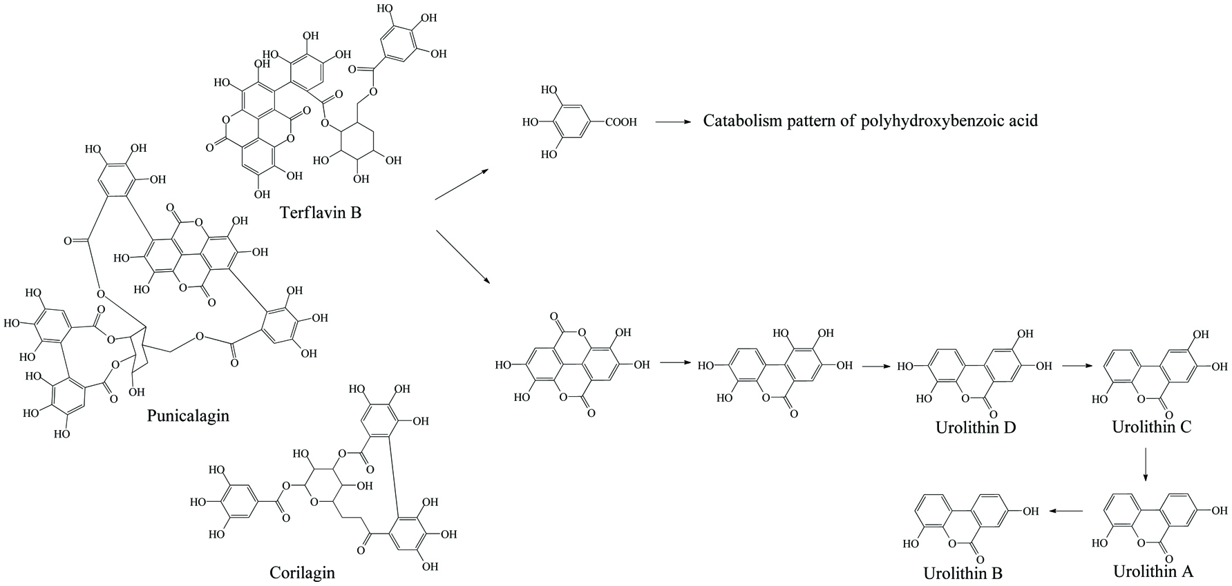 Figure 7. 