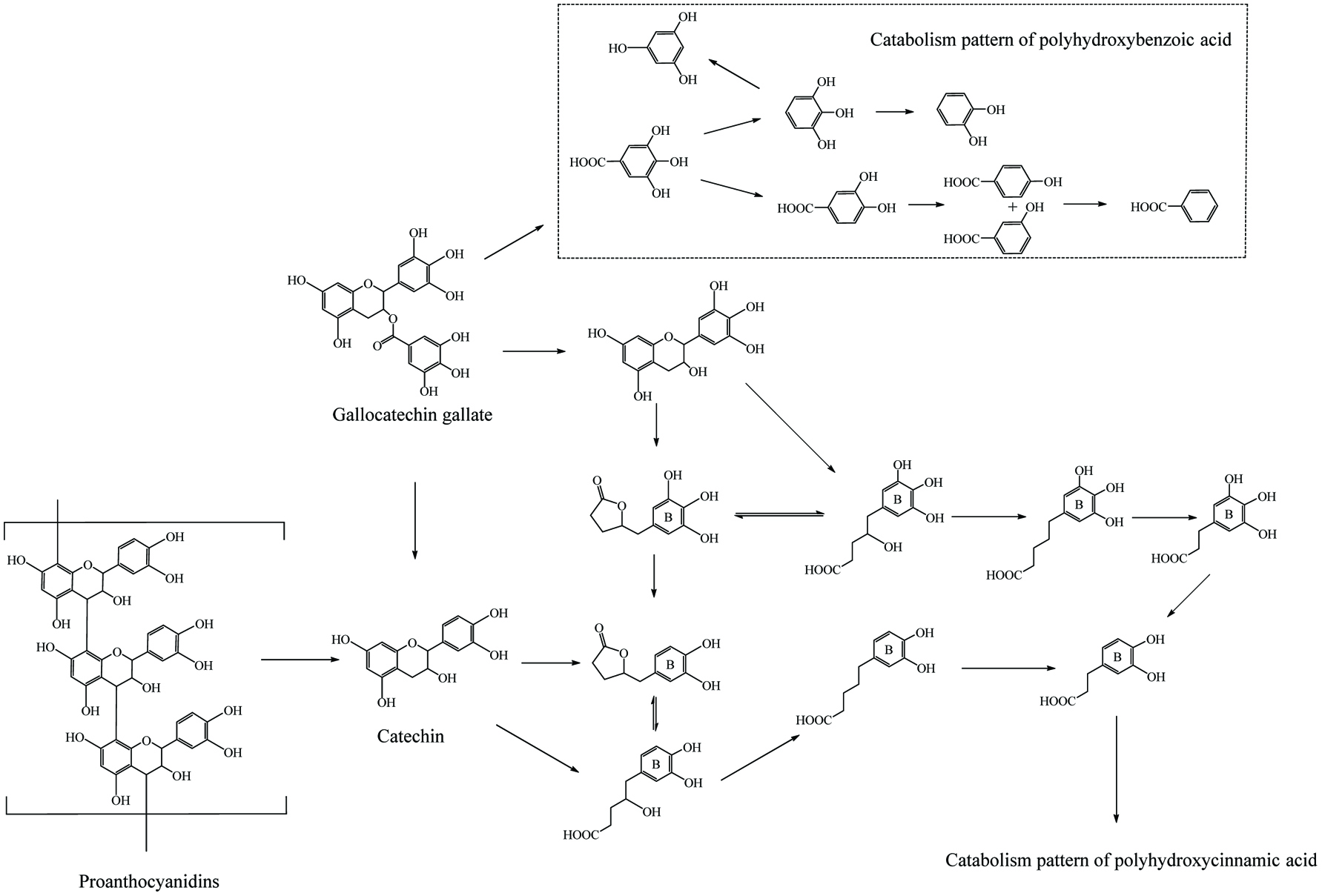 Figure 9. 