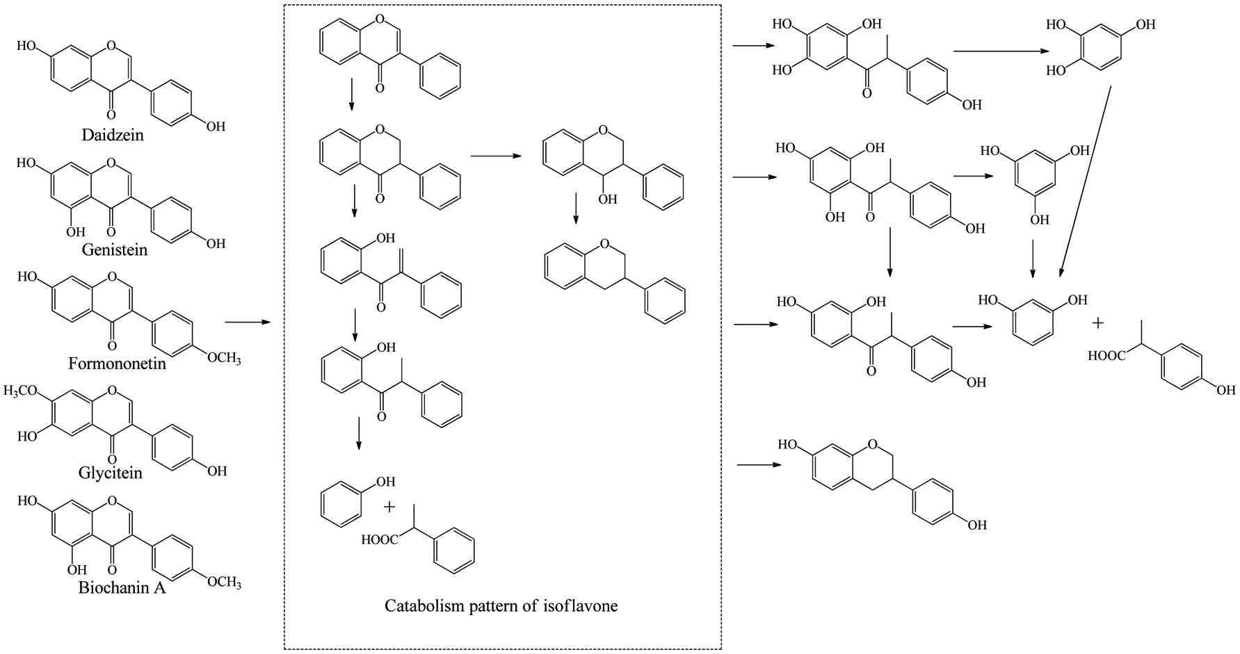 Figure 10. 