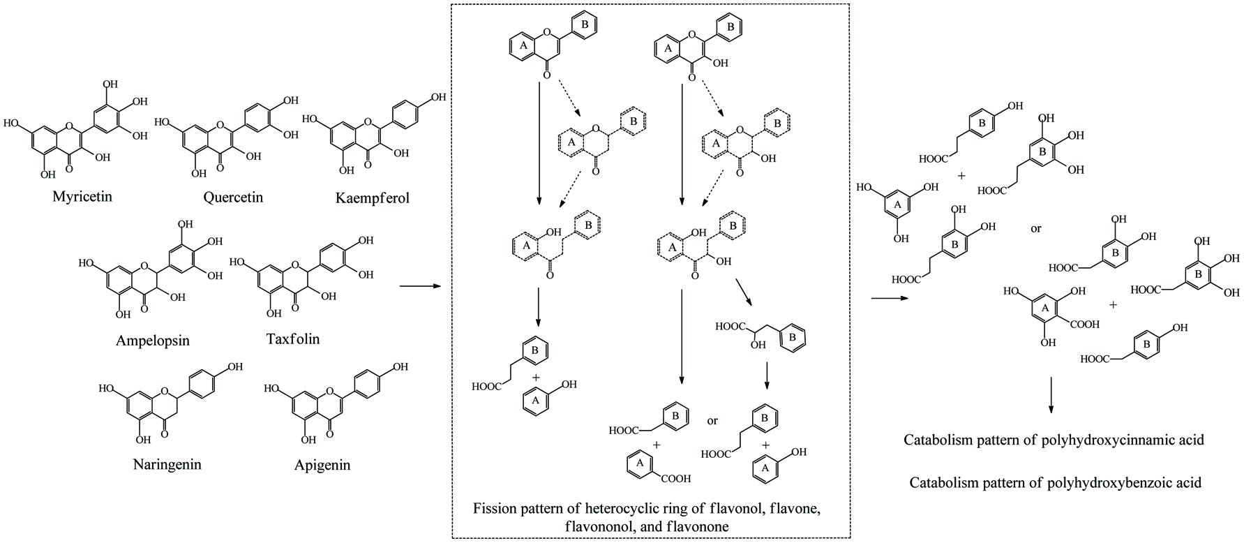 Figure 11. 