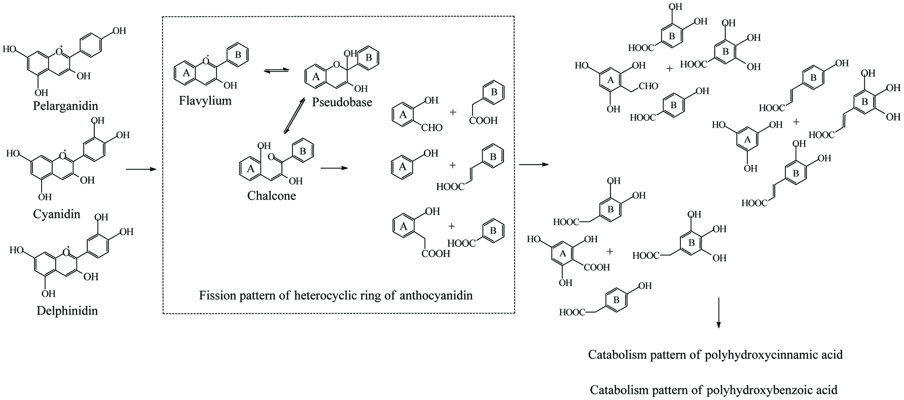 Figure 12. 