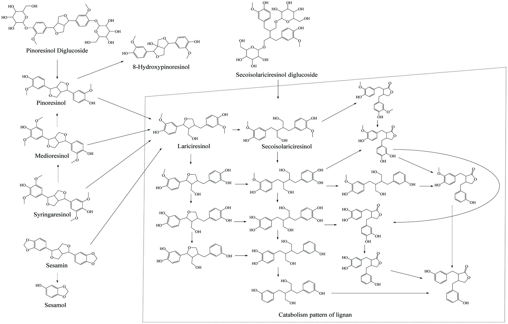 Figure 13. 