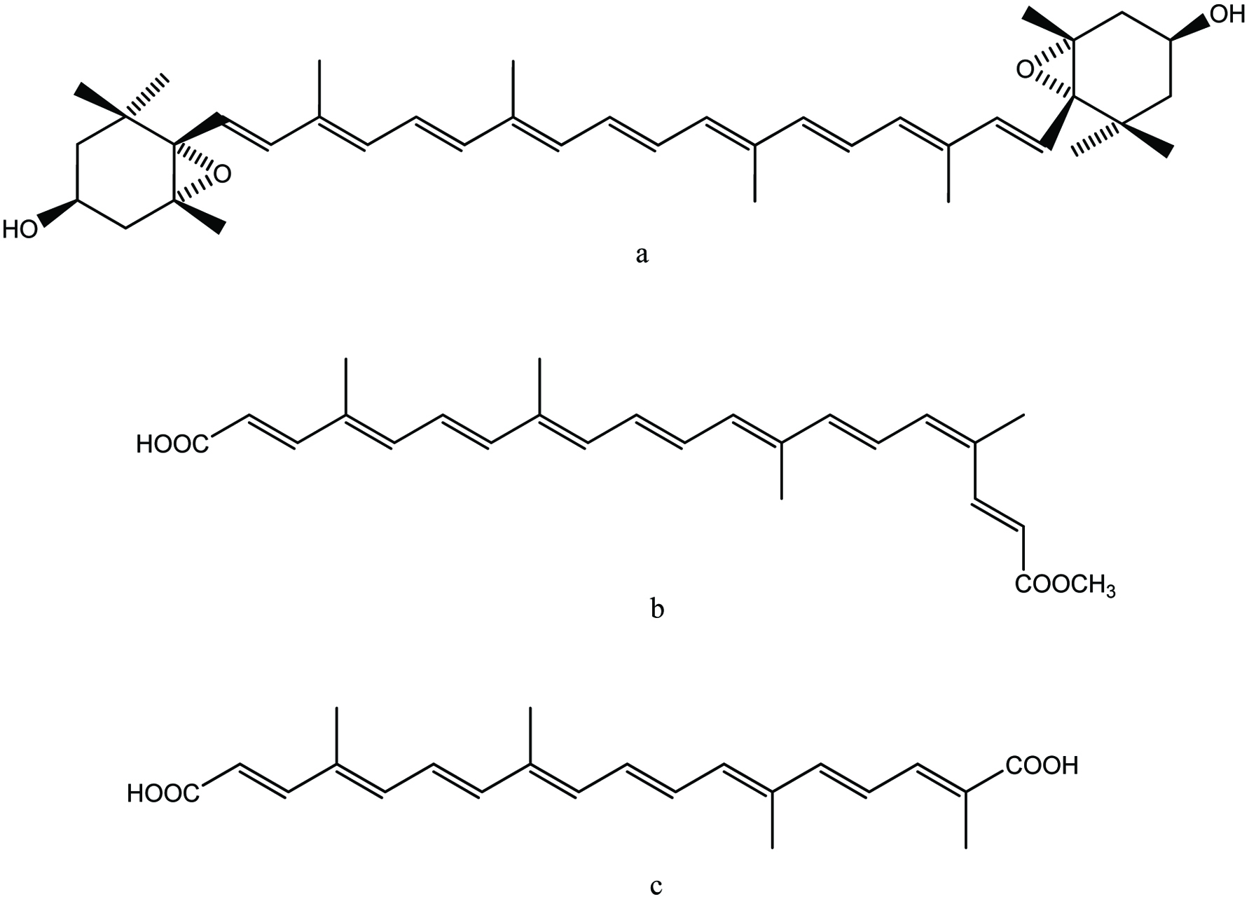 Figure 17. 