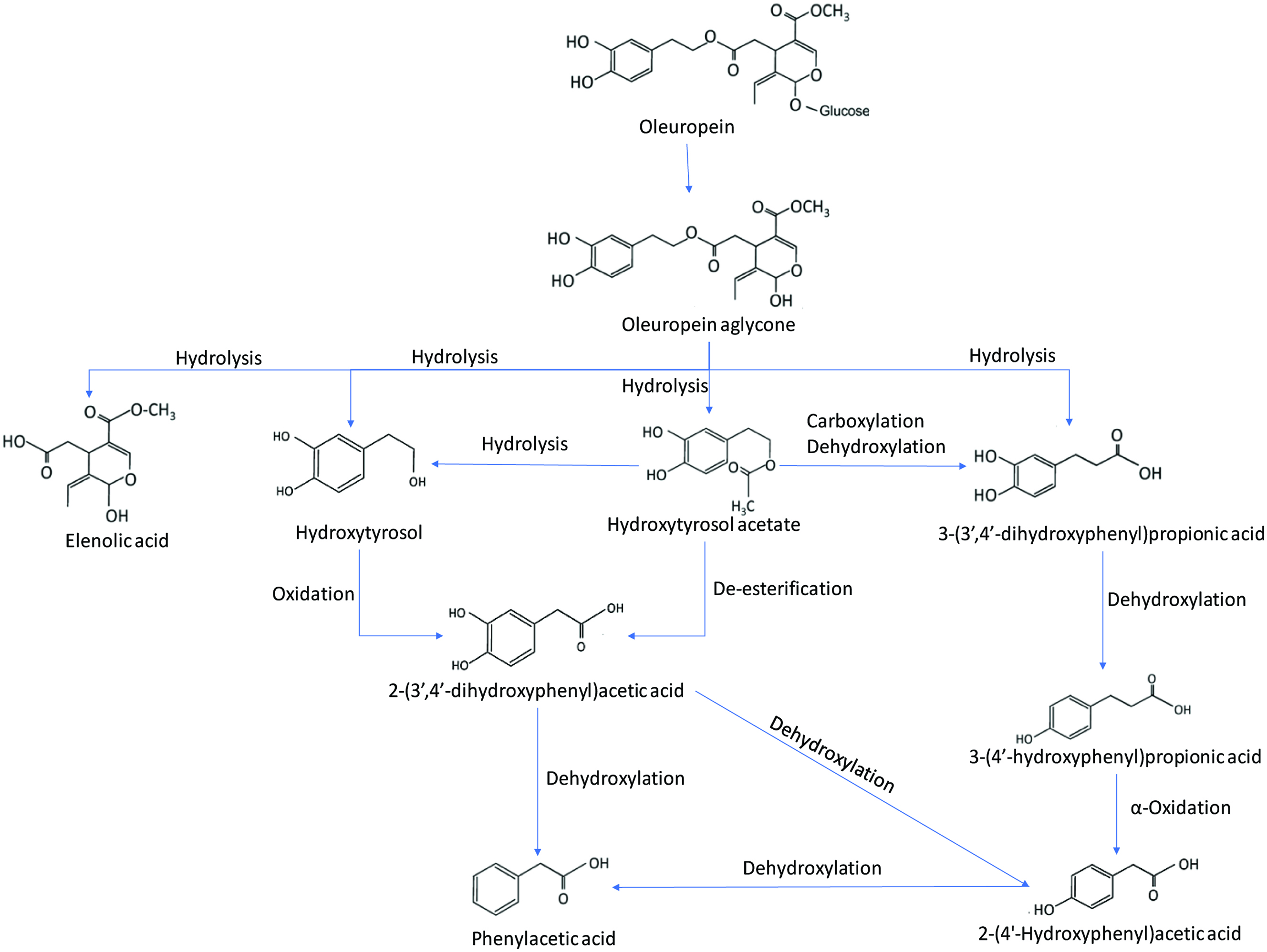 Figure 11. 