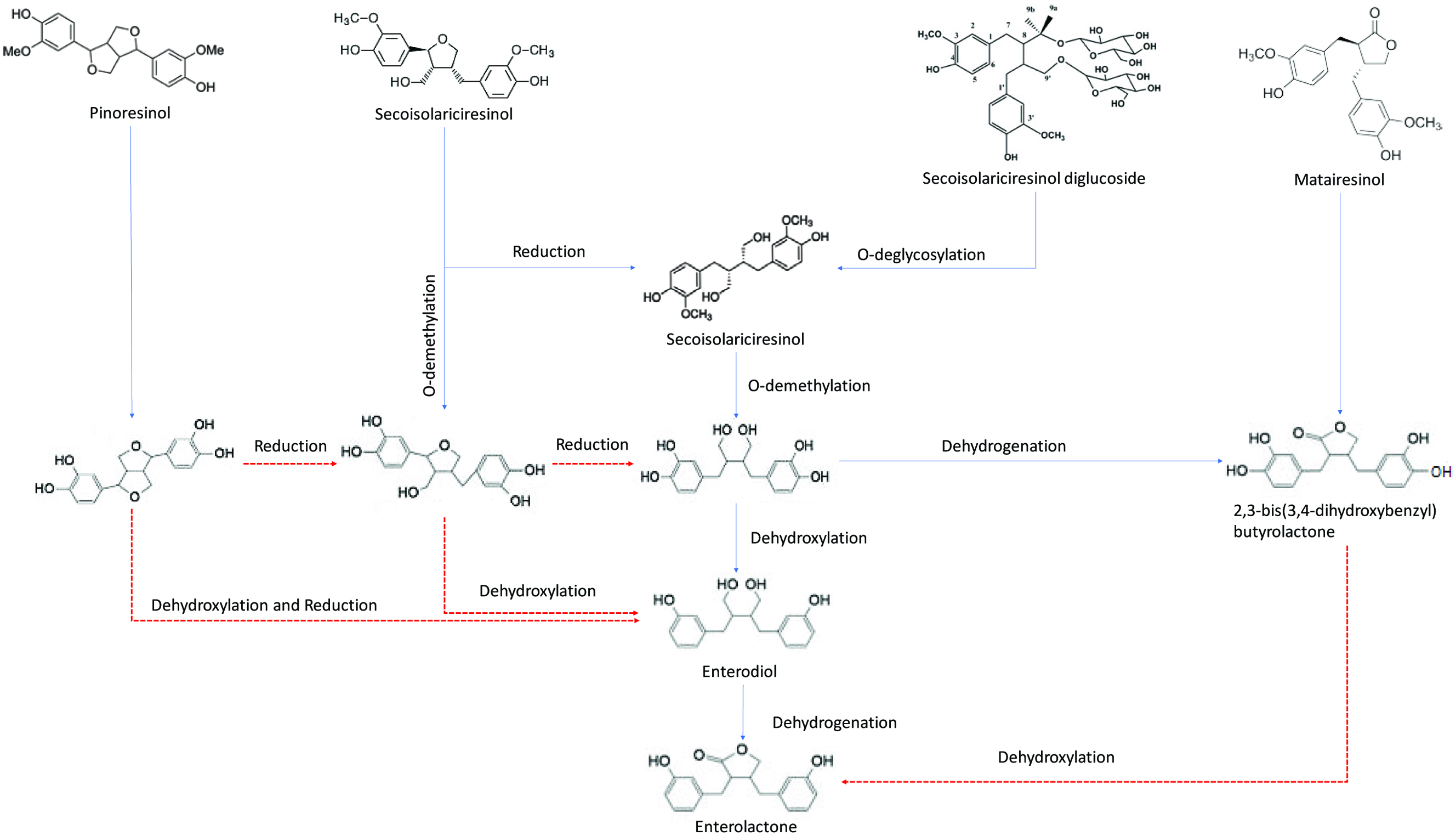 Figure 12. 