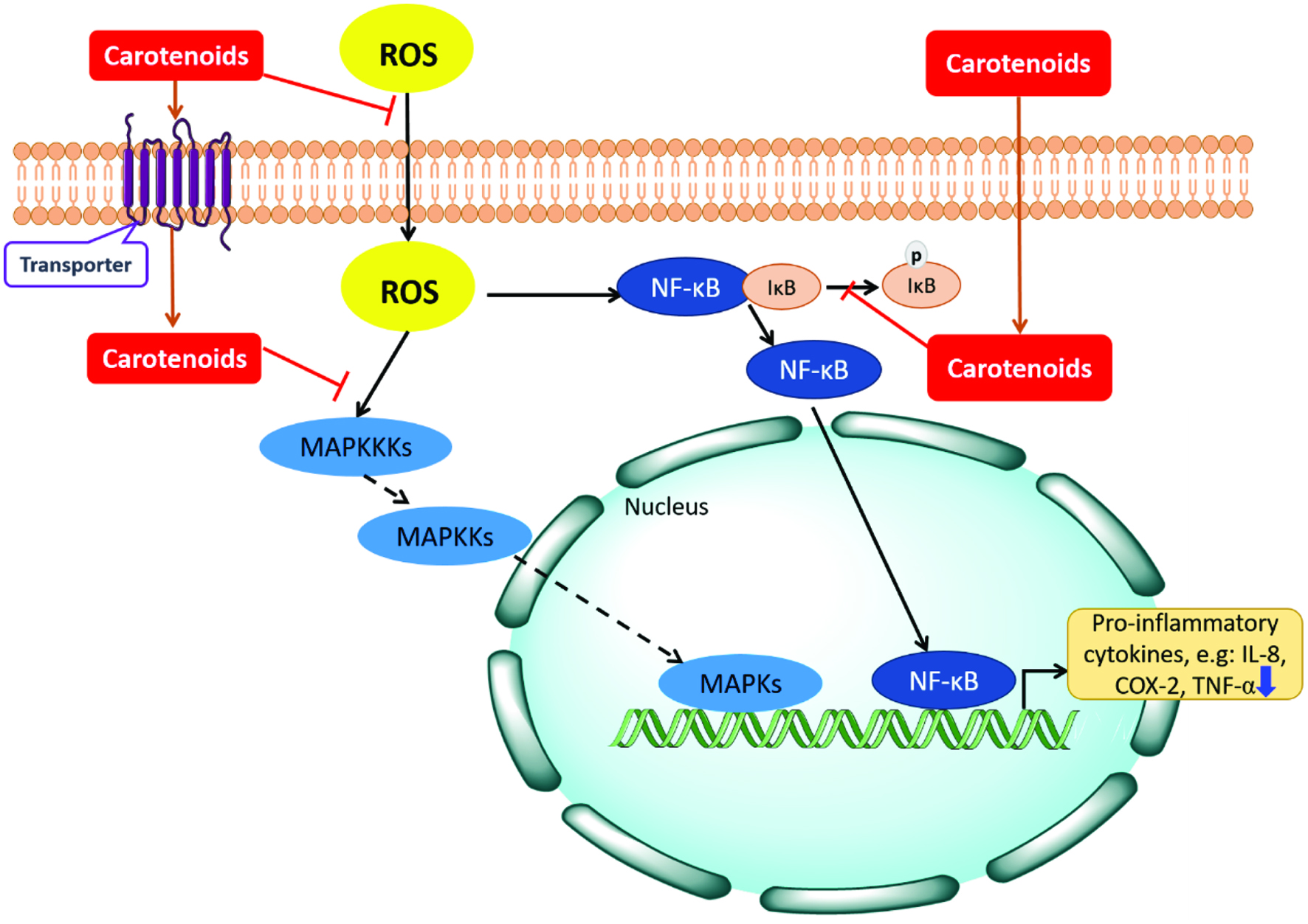 Figure 3. 