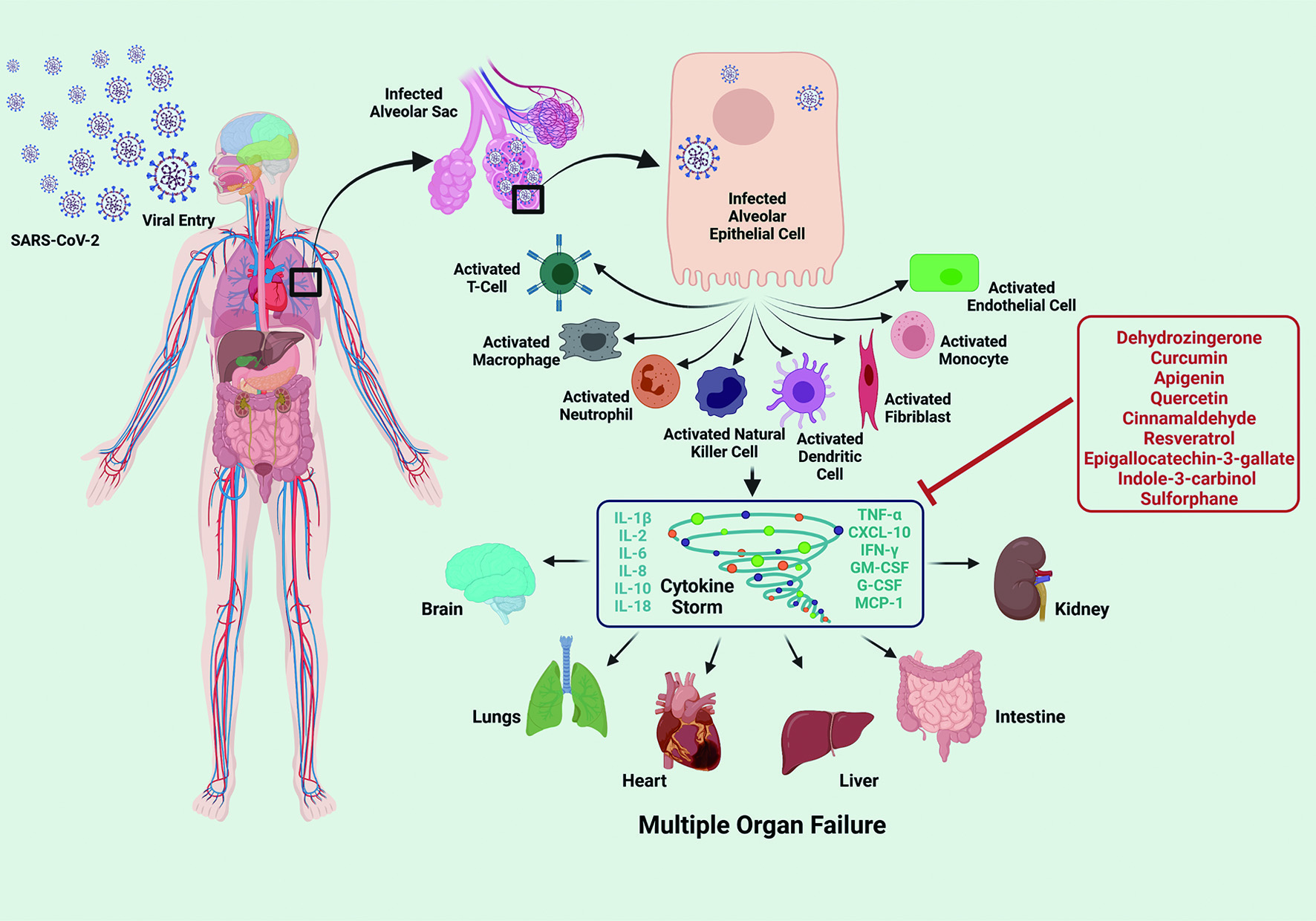 Figure 4. 