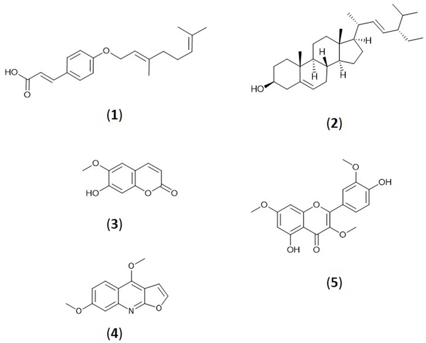 Figure 3. 