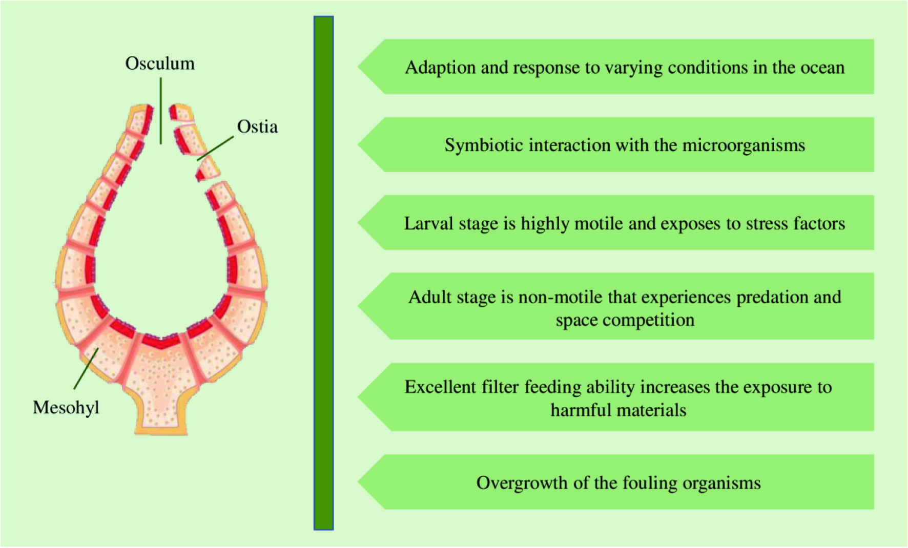 Figure 10. 