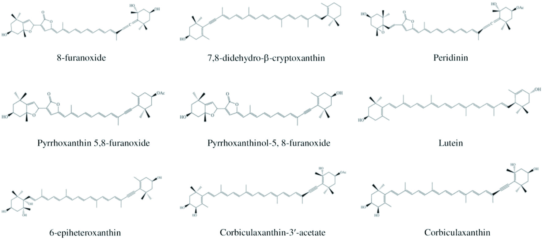 Figure 21. 