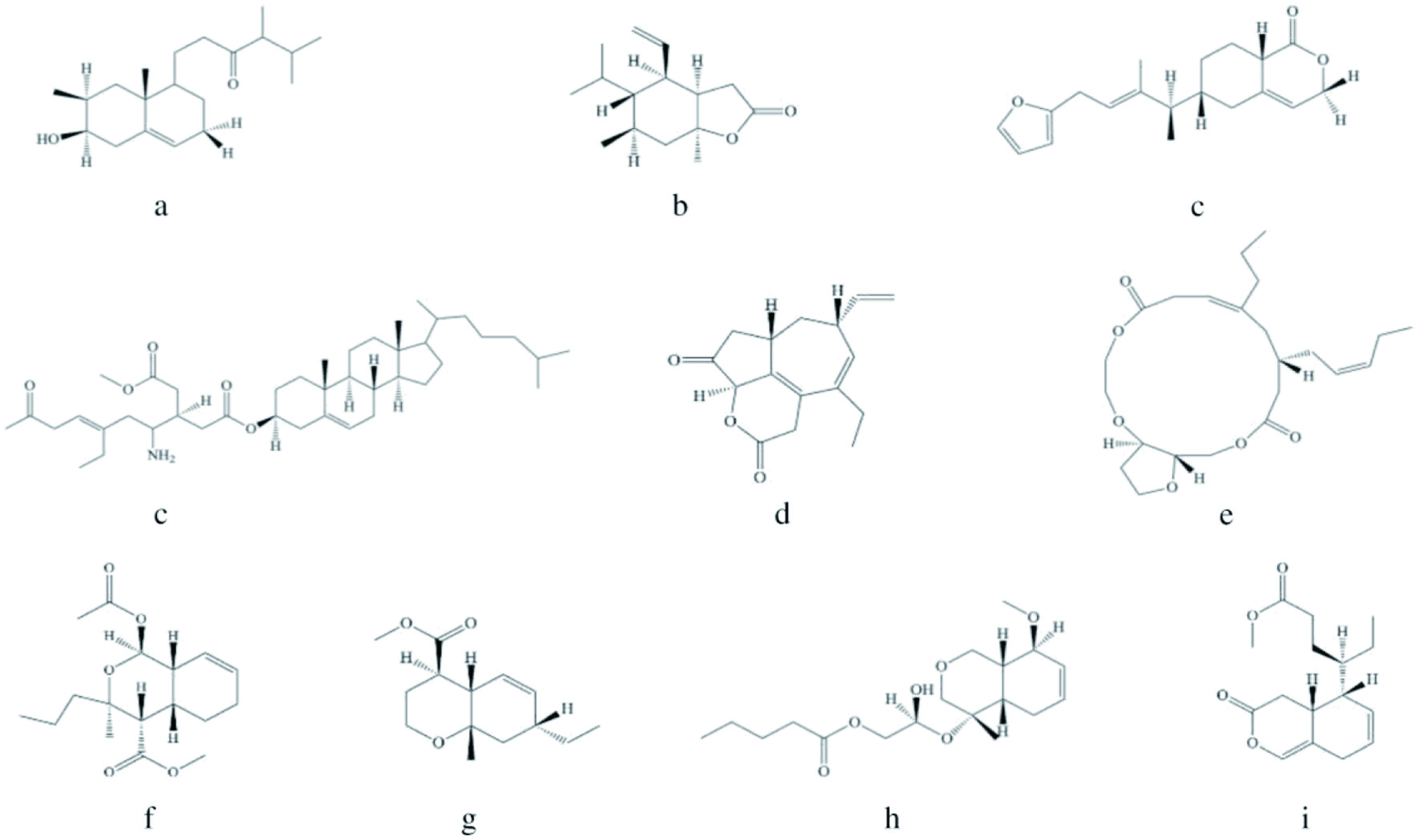 Figure 22. 