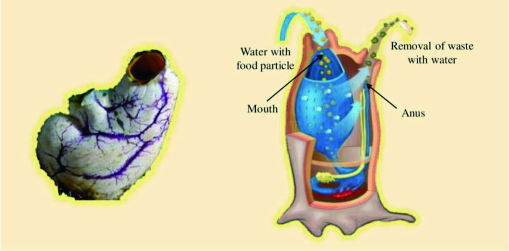 Figure 23. 