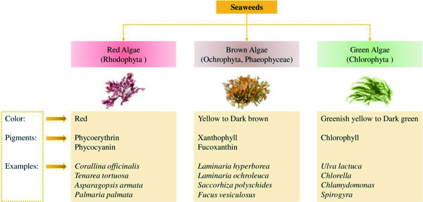 Figure 26. 